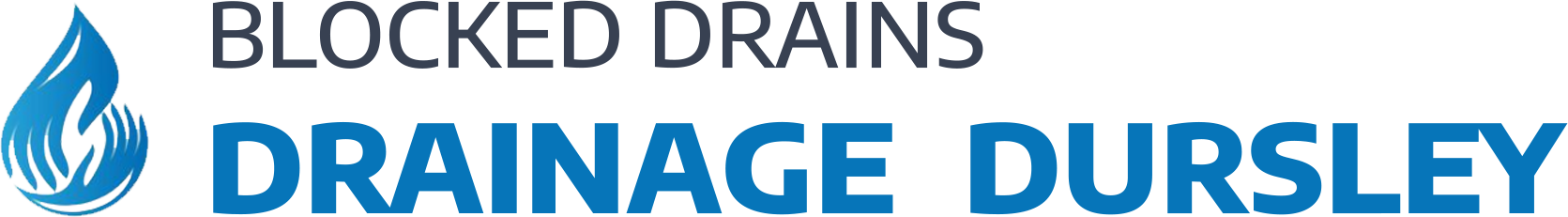 website logo